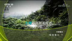   央视《雪峰香谷（下集）》